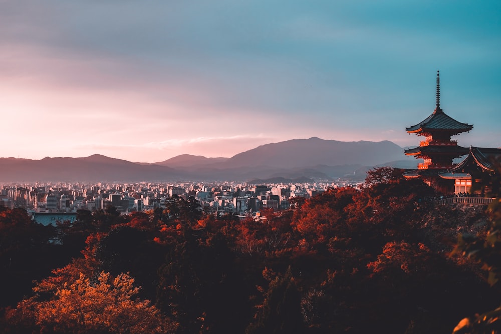 Photoshoot with a local photographer in Japan