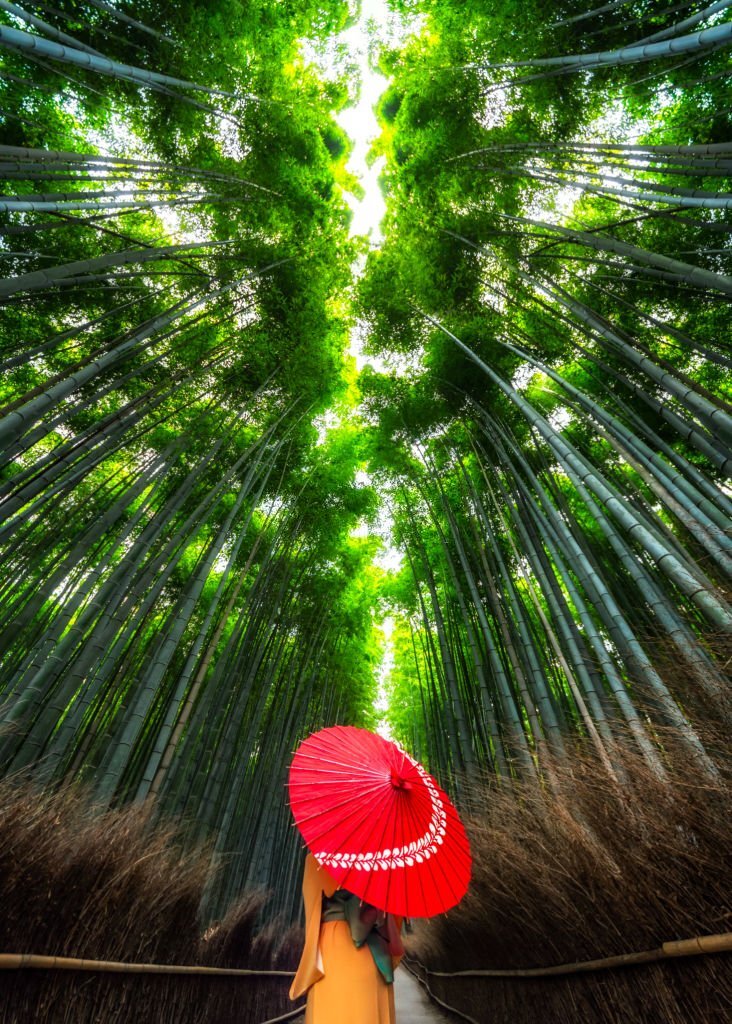 Arashiyama Bamboo Grove