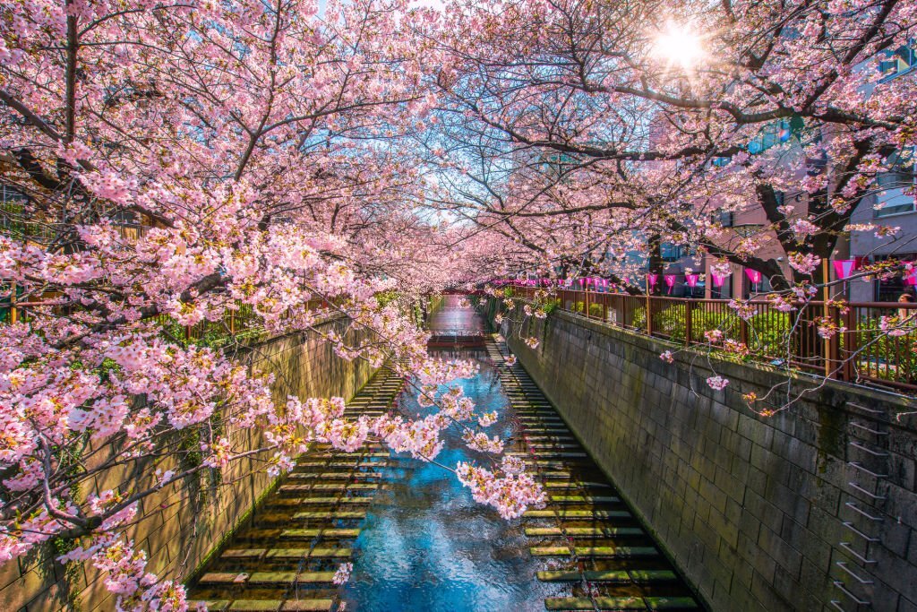 Nakameguro River