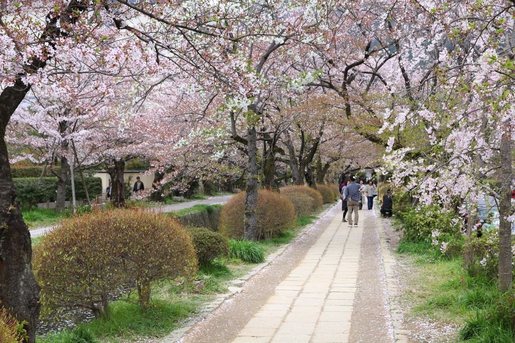Philosopher's Path Kyoto