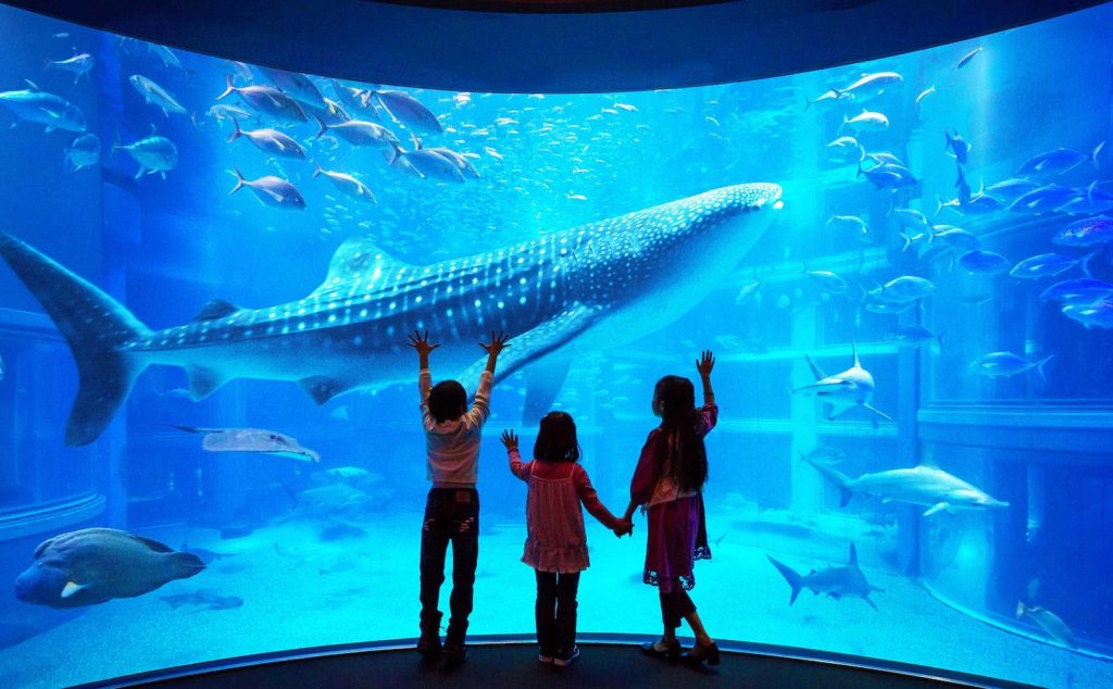 Osaka-Aquarium-Kaiyukan-Proposal