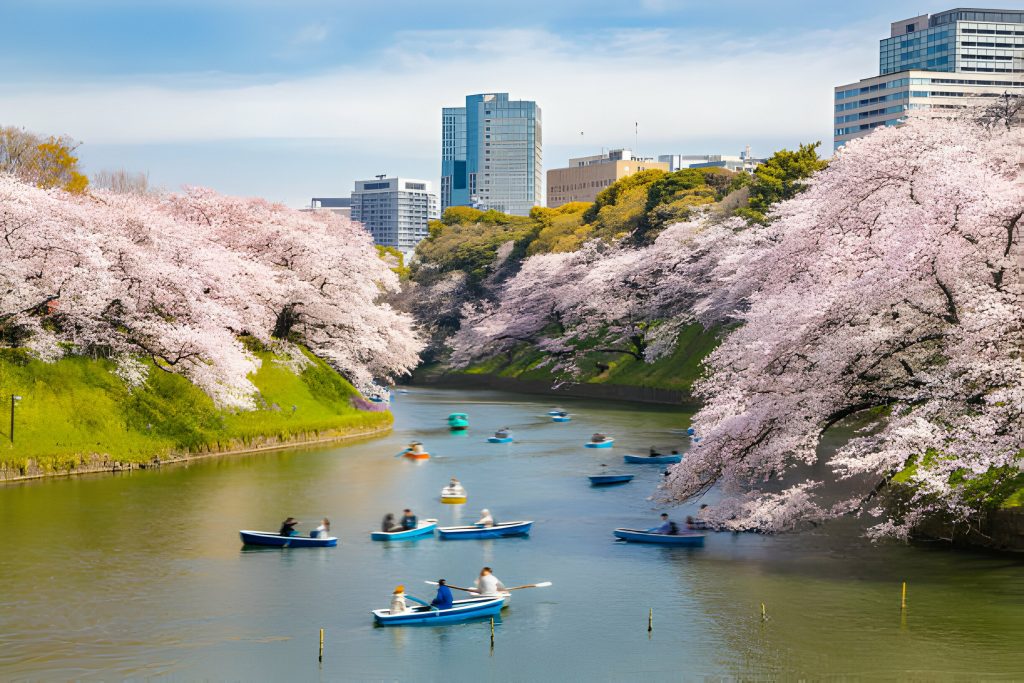 Chidorigafuchi-Canal-Cherry-Blossom-Proposal-Japan