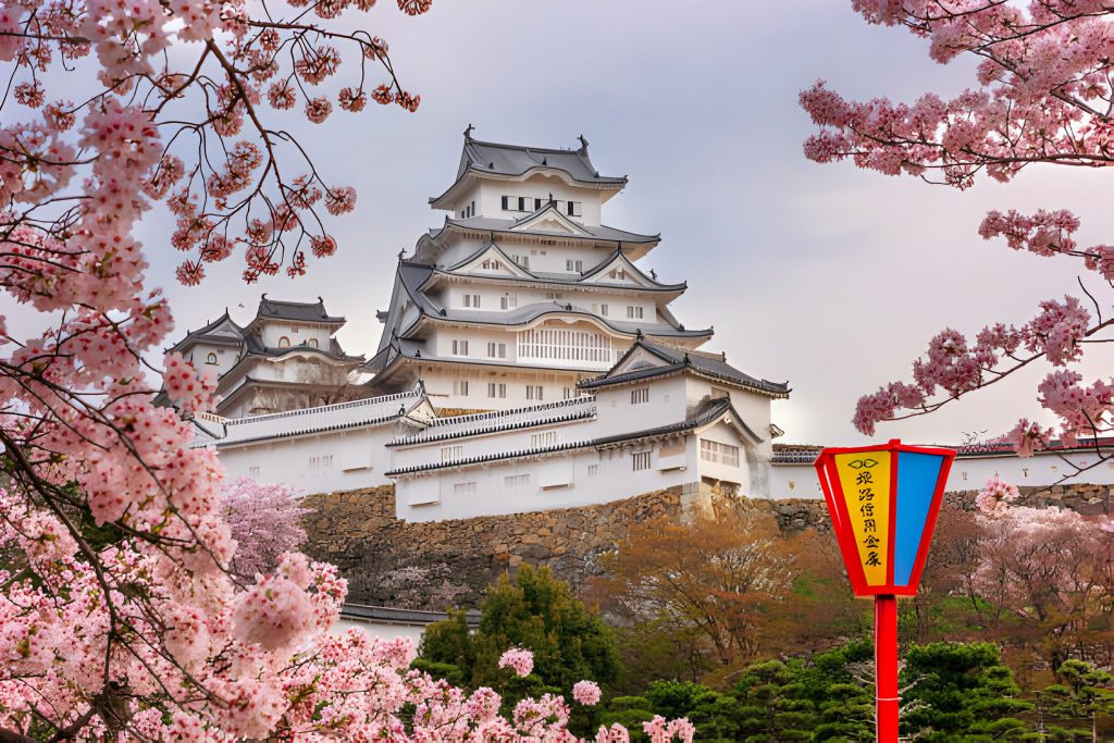 Himeji-Castle-Cherry-Blossom-Japan-Proposal