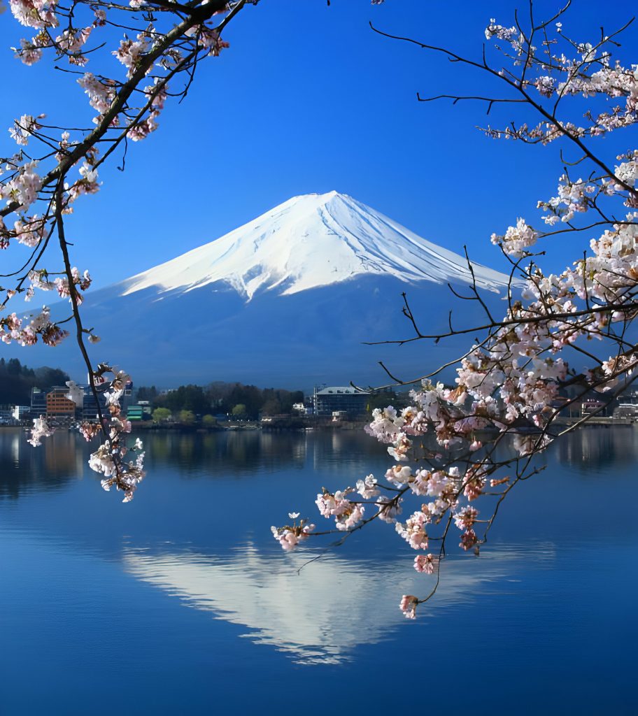 Mt-Fuji-Cherry-Blossom-Japan-Proposal