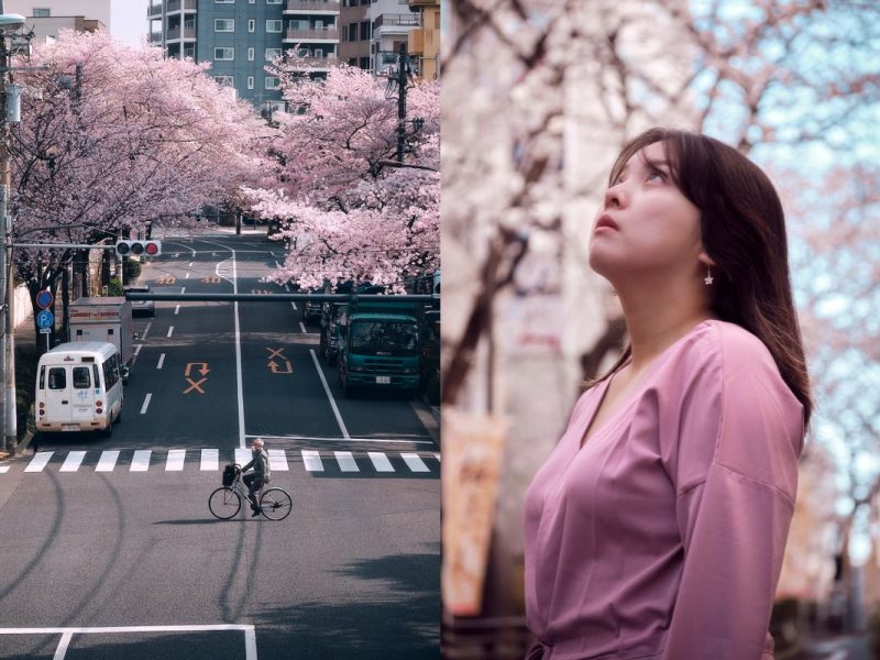 Special Cherry Blossom Photoshoot In Tokyo - Sakura Season 2024