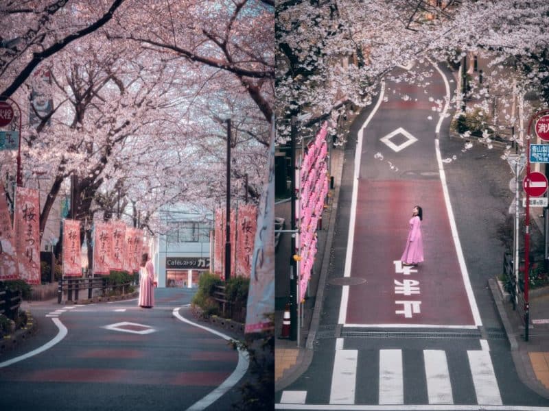 Special Cherry Blossom Photoshoot In Tokyo - Sakura Season 2024