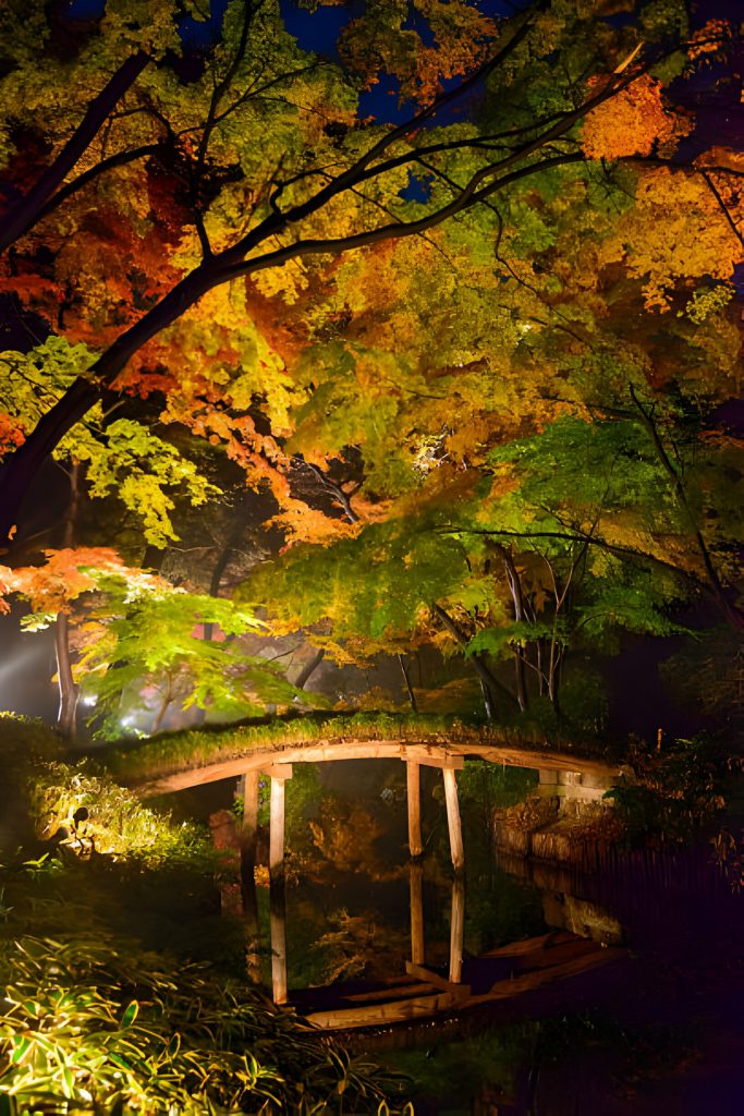 Rikugien-Park-Tokyo-Japan-Proposal-Autumn