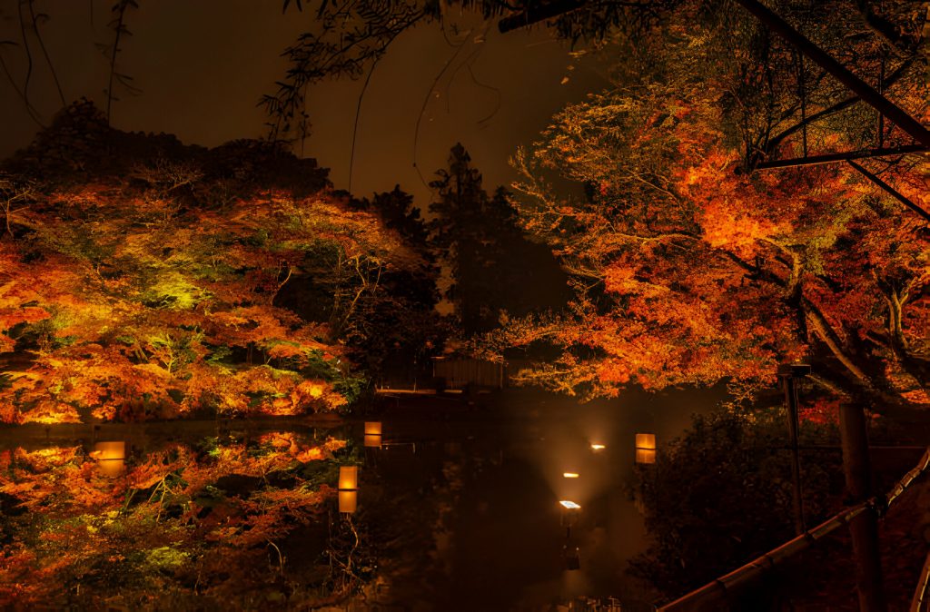 Mifuneyama-Rakuen-Night-Autumn-Japan