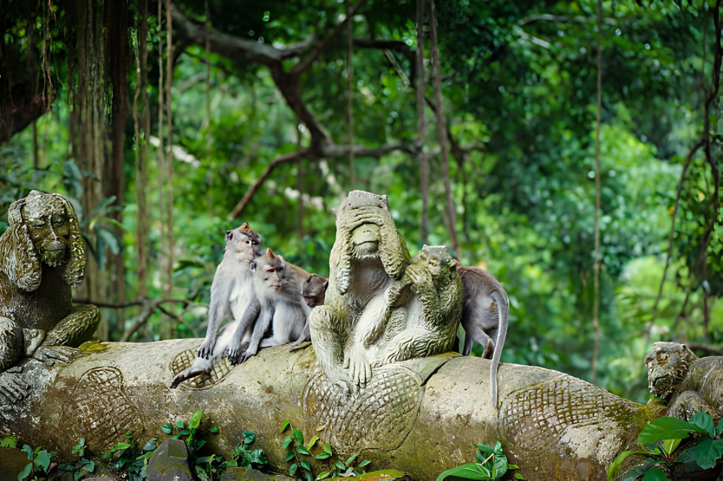 Ubud-Monkey-Forest-Indonesia