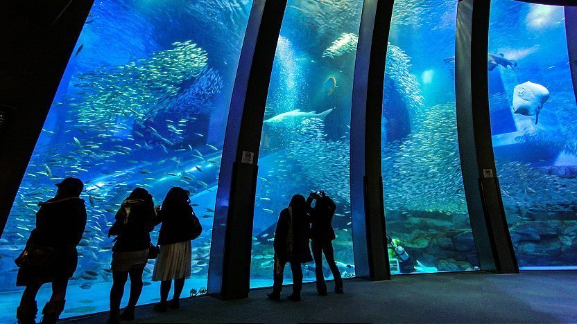 Yokohama-Hakkeijima-Sea-Paradise-Aquarium-Japan