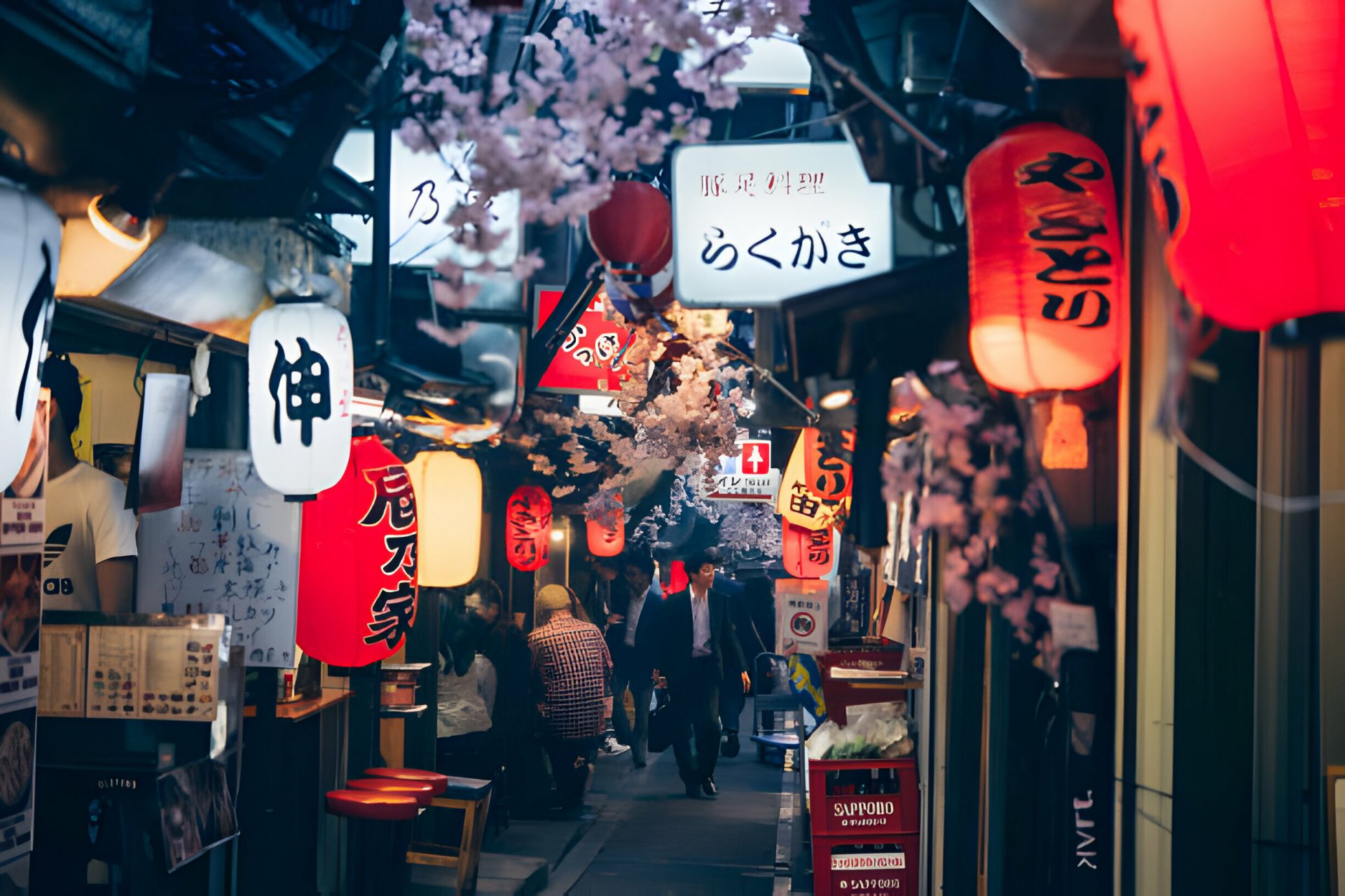 6 Authentic Alternatives to Golden Gai & Omoide Yokocho in Tokyo