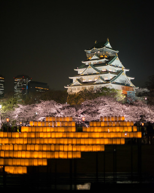 Osaka-Castle-Night