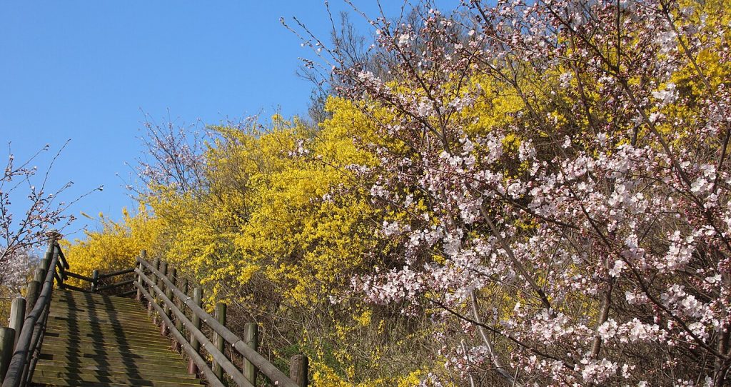 Eungbongsan Mountain