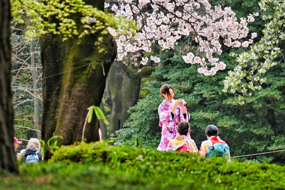 10 Beautiful Kimono Photo Spots in Tokyo inc. Traditional & Creative Locations