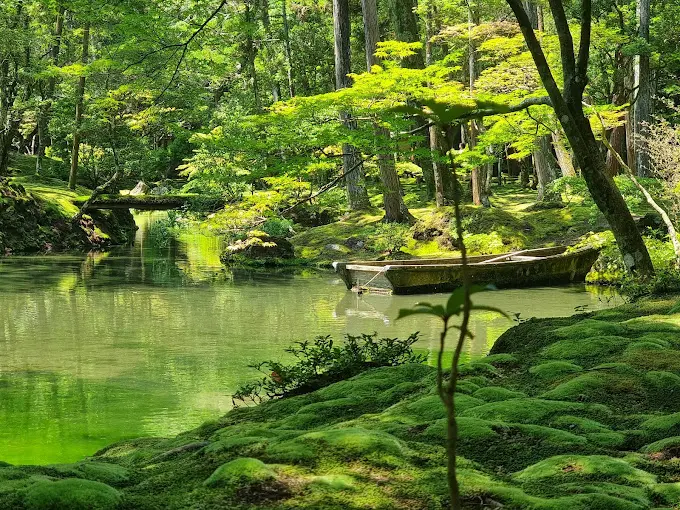 Kokedera Temple Japan