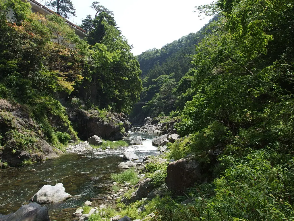 Okutama River